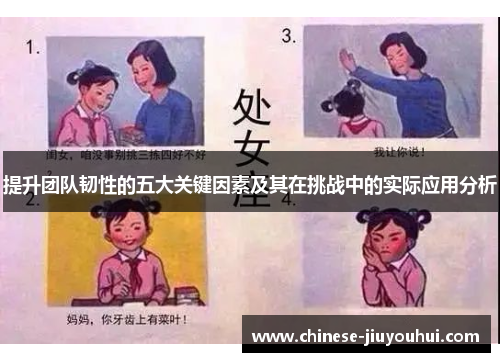 提升团队韧性的五大关键因素及其在挑战中的实际应用分析