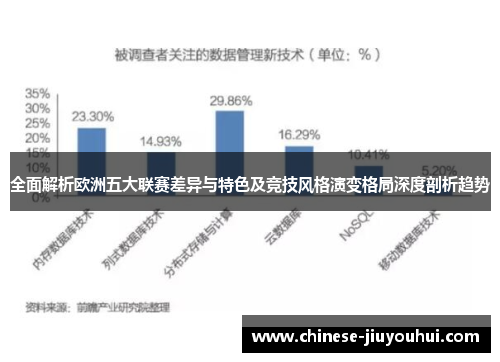 全面解析欧洲五大联赛差异与特色及竞技风格演变格局深度剖析趋势