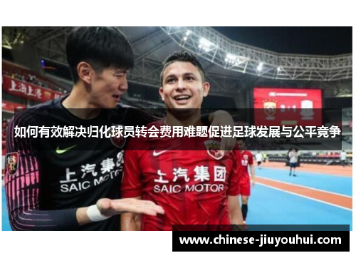 如何有效解决归化球员转会费用难题促进足球发展与公平竞争
