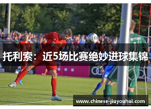 托利索：近5场比赛绝妙进球集锦