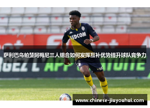 萨利巴乌帕楚阿梅尼三人组合如何发挥互补优势提升球队竞争力